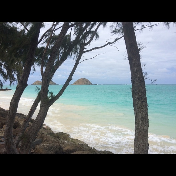 Meet your Posher, Brooke - Picture 1 of 2